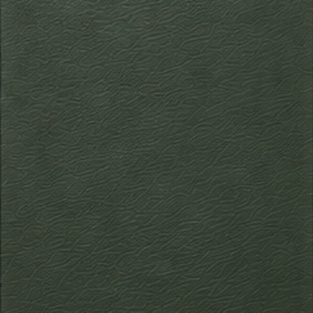 Orinoco